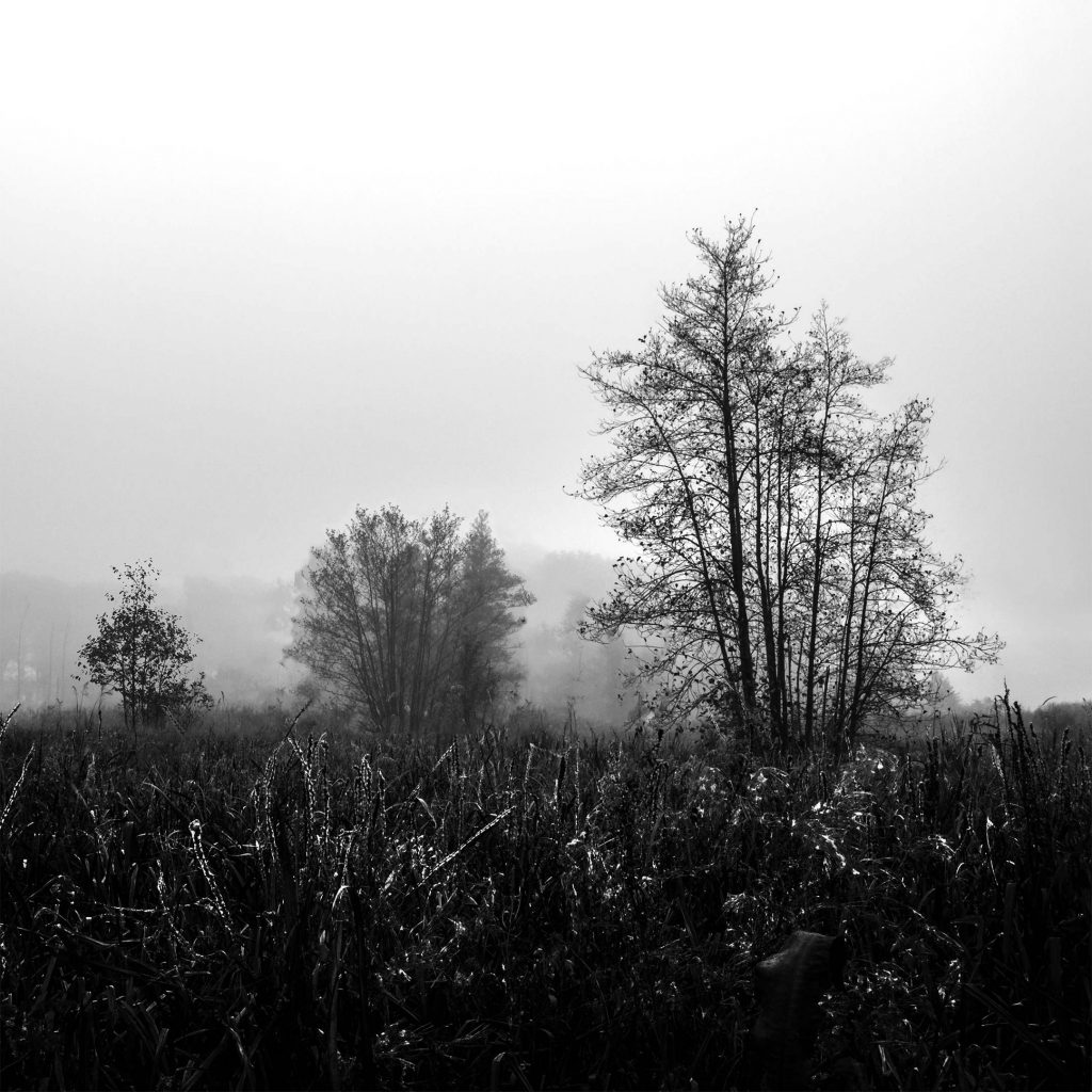 Feld im Herbst